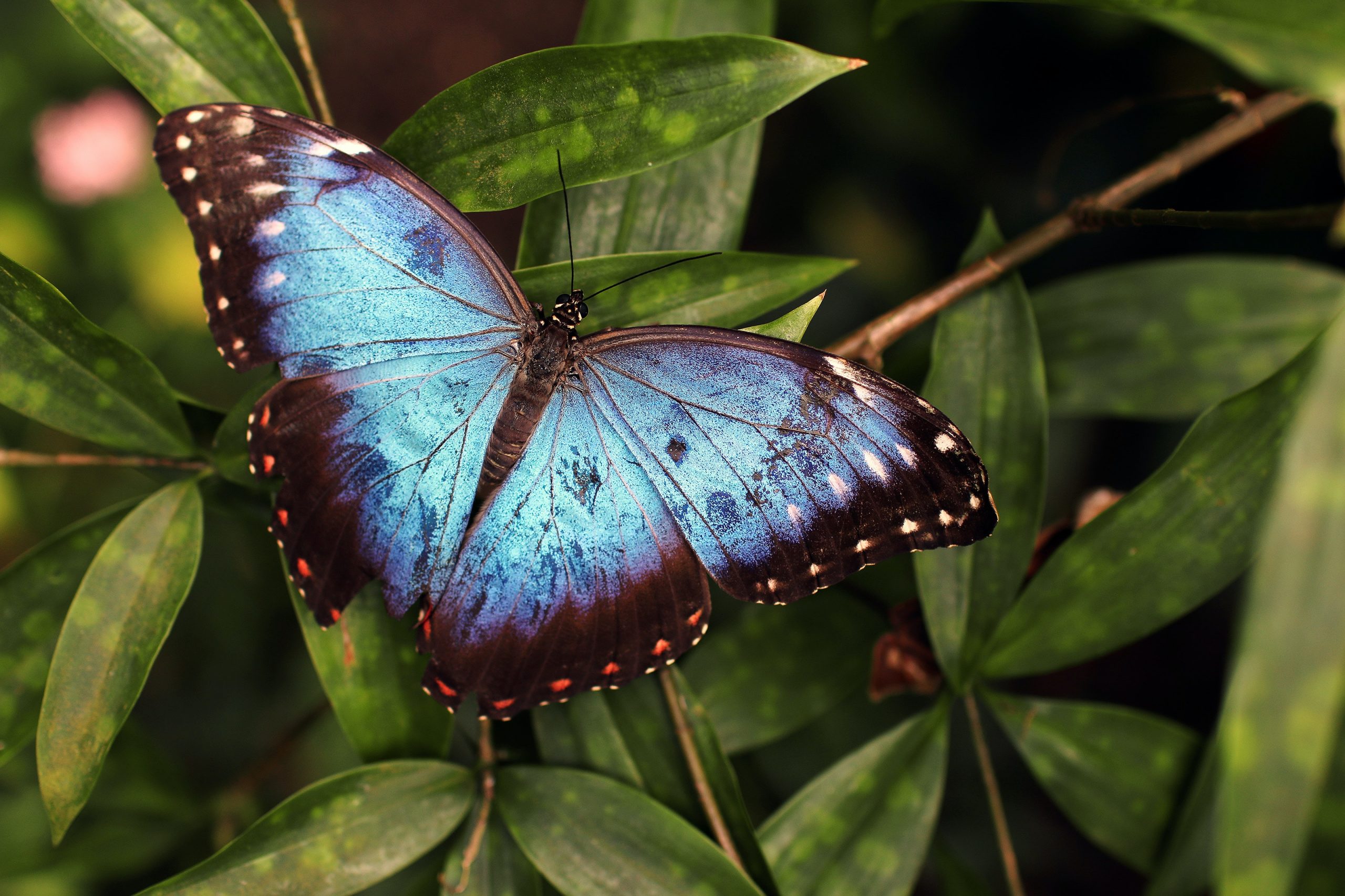 Top 5 Transformative Practices for 2022